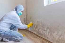 Best Emergency Mold Remediation  in Hokes Bluff, AL